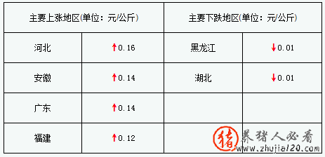 猪评：猪价持续上涨 猪价下跌猪农