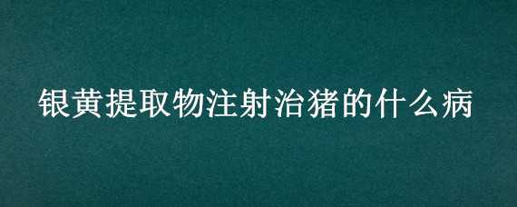 银黄提取物注射治猪的什么病（怀孕母猪能注射银黄提取物吗）