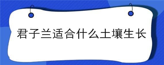 君子兰适合什么土壤生长 君子兰花适合什么土壤