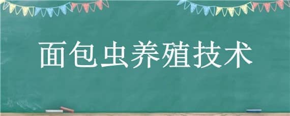 面包虫养殖技术（怎么养面包虫）