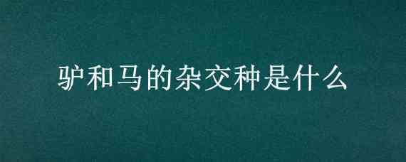 驴和马的杂交种是什么（马和驴杂交的后代）