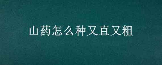 山药怎么种又直又粗（山药怎么种又直又粗视频）