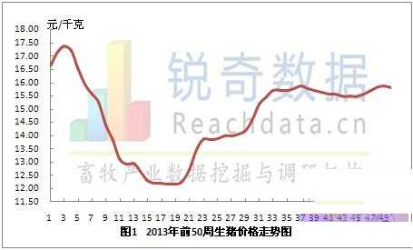 2013年第50周全国生猪价格震荡下跌（中国生猪价格暴跌）