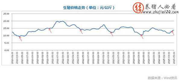 2015年猪周期启动 当前猪周期的具体阶段