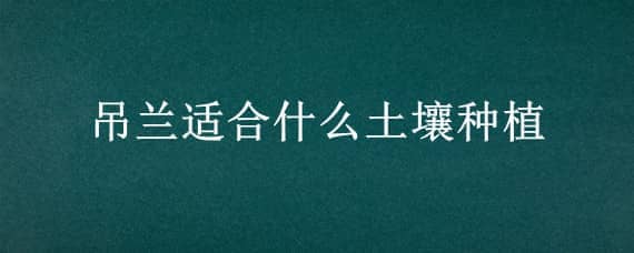 吊兰适合什么土壤种植（吊兰种植用什么土壤）