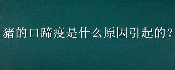 猪的口蹄疫是什么原因引起的 猪得口蹄疫是什么原因引起的