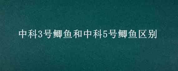 中科3号鲫鱼和中科5号鲫鱼区别（鲫鱼苗中科三号和中科五号,哪个好）