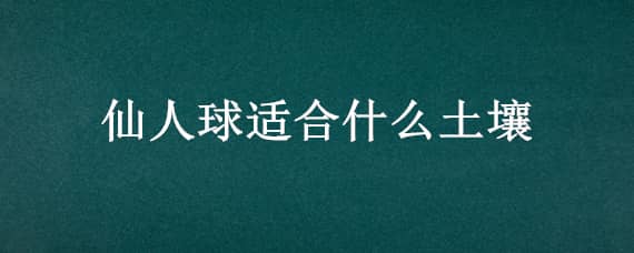 仙人球适合什么土壤 仙人球适合什么土壤生长