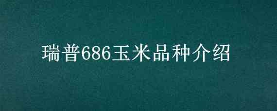 瑞普686玉米品种介绍（瑞普908玉米品种介绍）