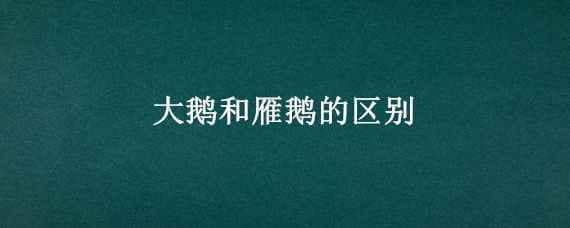 大鹅和雁鹅的区别（大鹅和雁鹅的区别是什么）