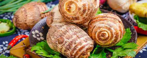 槟榔芋种植高产技术正确方法 槟榔芋的种植技术