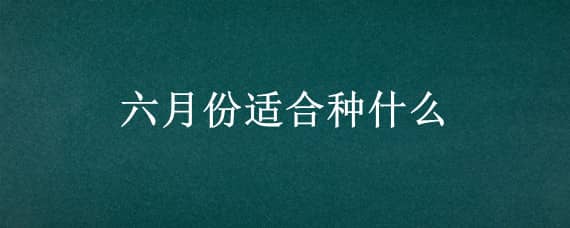 六月份适合种什么 六月份适合种什么豆