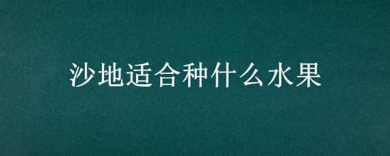 沙地适合种什么水果（沙地适合种什么水果树）