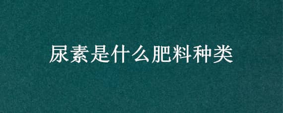 尿素是什么肥料种类（尿素是啥肥料）