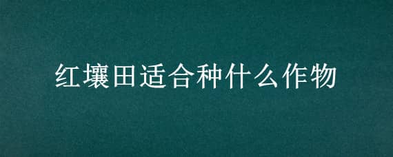 红壤田适合种什么作物（赤红壤适合种什么）