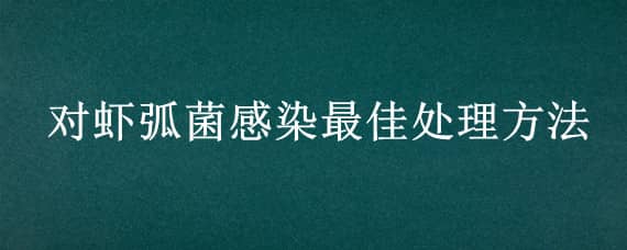 对虾弧菌感染最佳处理方法 对虾弧菌感染大约几天可恢复