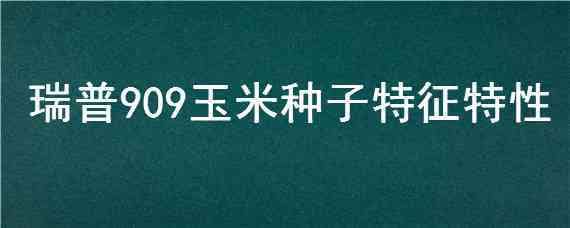 瑞普909玉米种子特征特性 玉米种子瑞普909种子特征