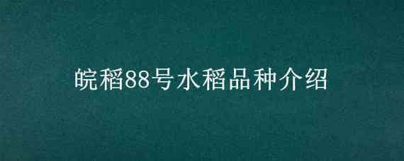 皖稻88号水稻品种介绍 皖稻173号旱稻