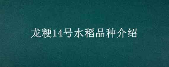 龙粳14号水稻品种介绍 龙粳44水稻品种介绍