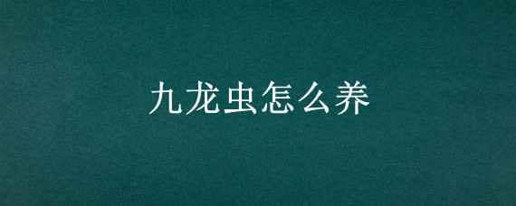 九龙虫怎么养（九龙虫怎么养视频）