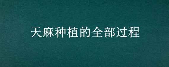 天麻种植的全部过程 天麻种植流程