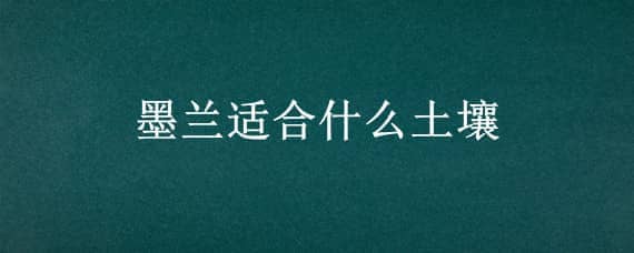 墨兰适合什么土壤（墨兰需要什么样的土）