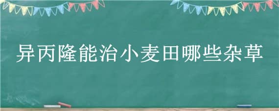 异丙隆能治小麦田哪些杂草（异丙隆能治小麦田哪些杂草炔草脂）