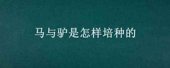 马与驴是怎样培种的 马与驴是怎样培种的免费视频