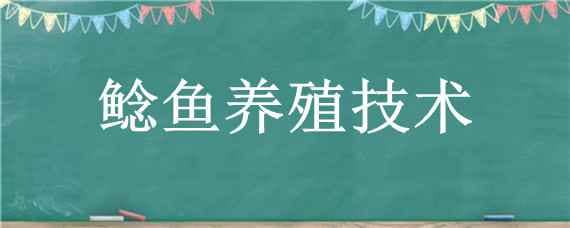 鲶鱼养殖技术（杂交大口鲶鱼养殖技术）