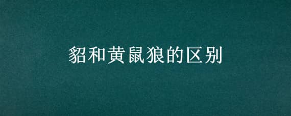 貂和黄鼠狼的区别（貂和黄鼠狼的区别在哪外观）