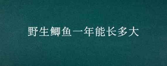 野生鲫鱼一年能长多大（野生鲫鱼一年能长几两）