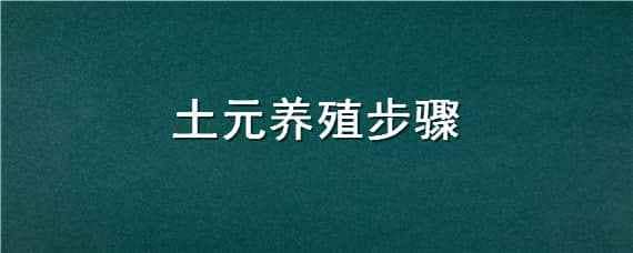 土元养殖步骤（土元怎样养殖）