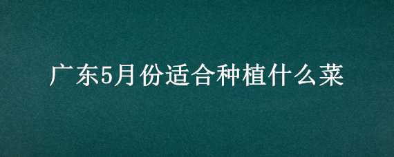 广东5月份适合种植什么菜 广东5月份适合种植什么菜种