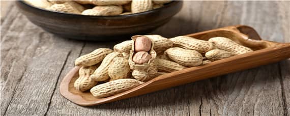 山东花生几月份收获（山东花生一般几月份收获）