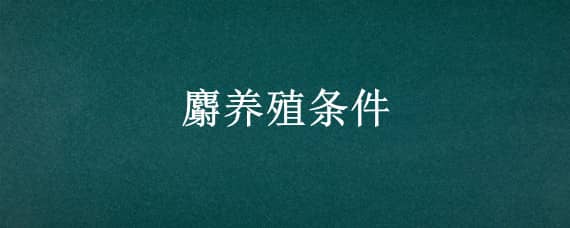 麝养殖条件 麝的人工养殖