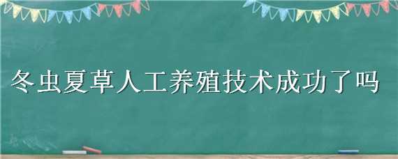 冬虫夏草人工养殖技术成功了吗（冬虫夏草能人工养殖出来吗）