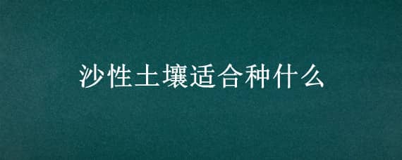 沙性土壤适合种什么（沙性土壤适合种什么蔬菜）