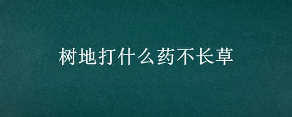 树地打什么药不长草 树地打什么除草剂不伤树