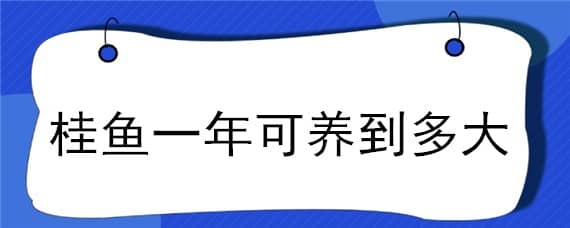 桂鱼一年可养到多大（桂鱼一年能长多重）