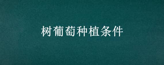 树葡萄种植条件（树葡萄种植气候）