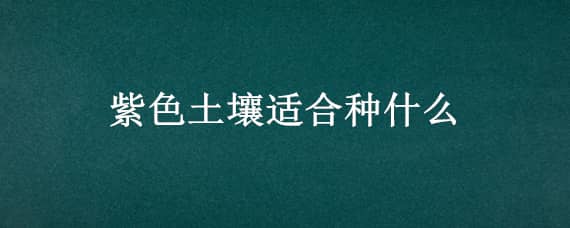 紫色土壤适合种什么（紫色土壤适合种什么农作物）