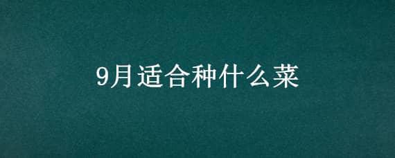 9月适合种什么菜（9月份种什么菜）