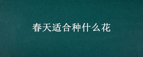 春天适合种什么花 春天适合种什么花籽