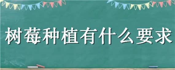 树莓种植有什么要求 树莓生长条件