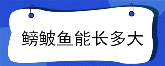 鳑鲏鱼能长多大 鳊鱼能长多大?