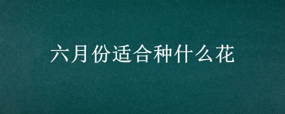 六月份适合种什么花 六月份适合种什么花树