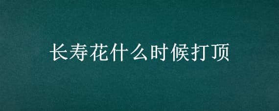 长寿花什么时候打顶 新扦插的长寿花什么时候打顶