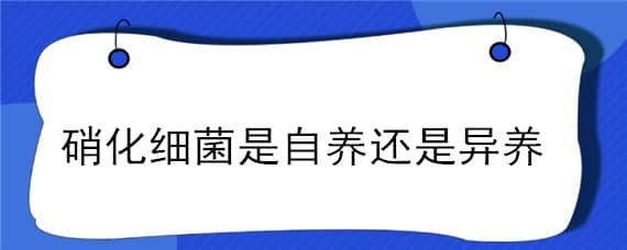 硝化细菌是自养还是异养 硝化作用是自养还是异养