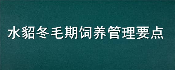 水貂冬毛期饲养管理要点（水貂各个时期的饲养管理要点有哪些?）