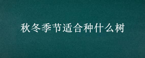 秋冬季节适合种什么树 秋冬季节适合种什么树呢